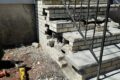 Masonry Repairs