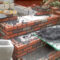 Brick & Masonry Walls
